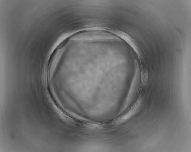 X0000111161101200907281148