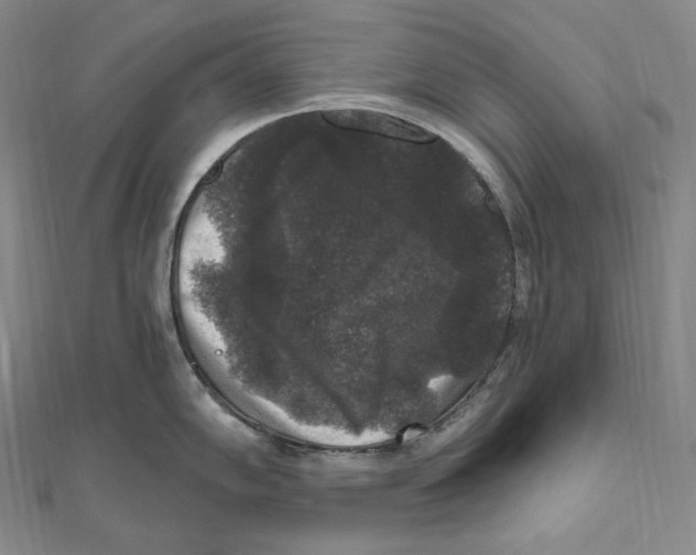 X0000111161102200907281148