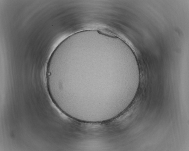 X0000111161103200907281148