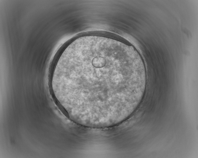 X0000111161104200907281148