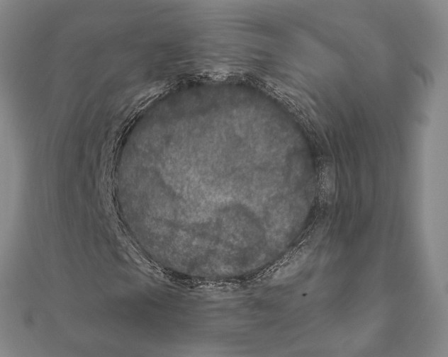 X0000111161105200907281147