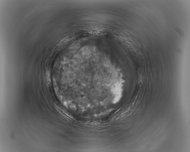 X0000111161106200907281147