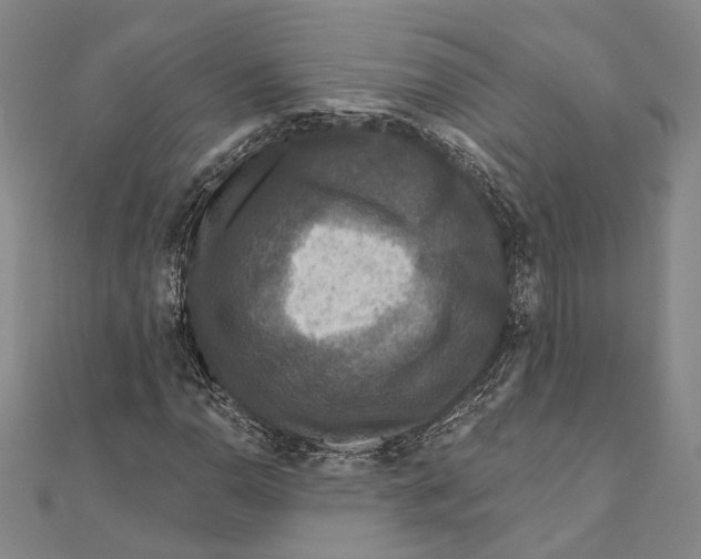 X0000111161110200907281147