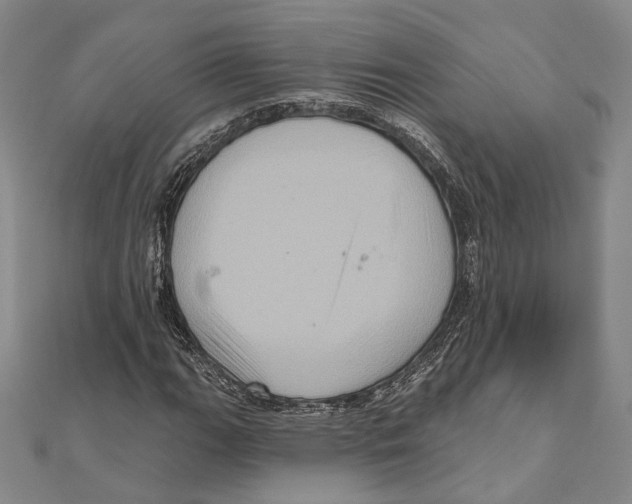 X0000111161111200907281147