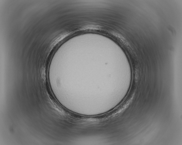 X0000111161113200907281147