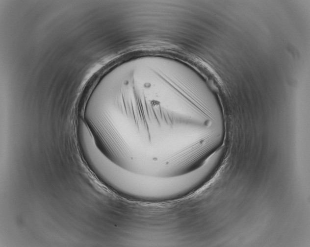 X0000111161114200907281147