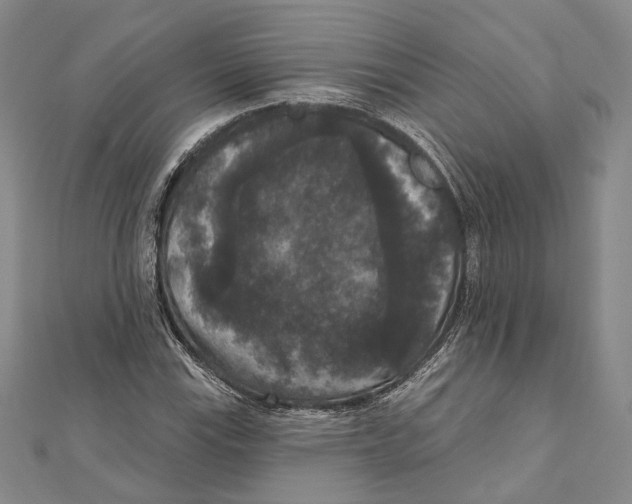 X0000111161115200907281147