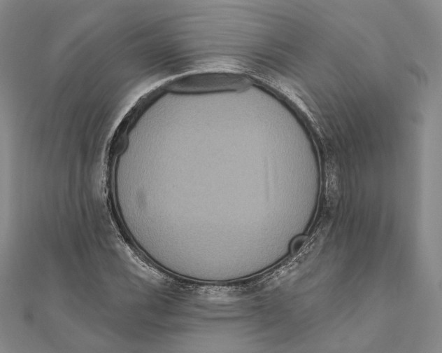 X0000111161116200907281147