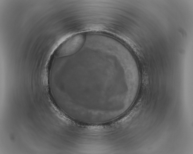 X0000111161118200907281147