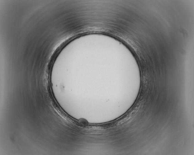 X0000111161119200907281147