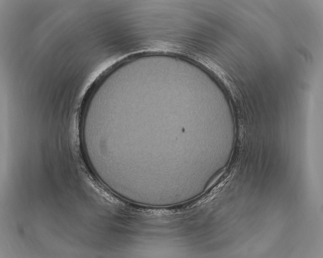 X0000111161120200907281147