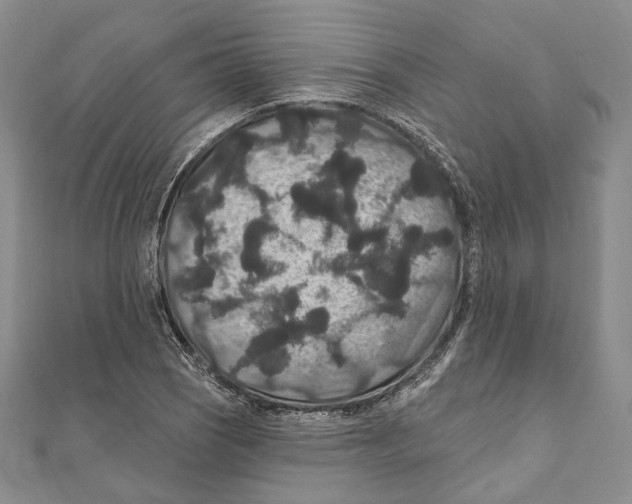 X0000111161121200907281147