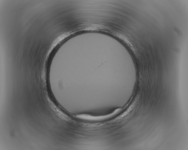 X0000111161122200907281147