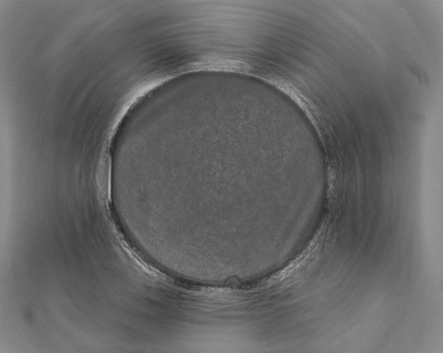 X0000111161123200907281147