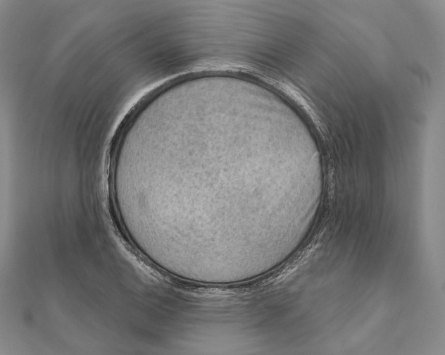 X0000111161124200907281147