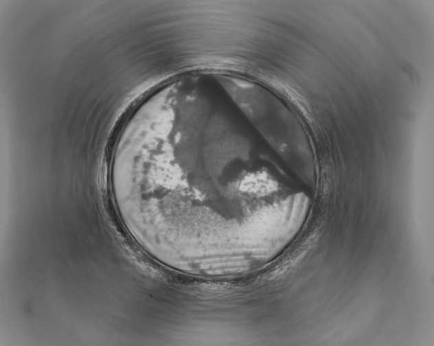 X0000111161125200907281147