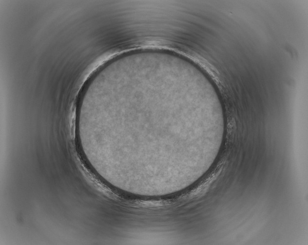 X0000111161126200907281147