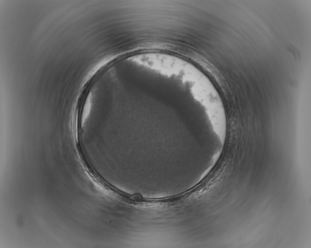 X0000111161127200907281147