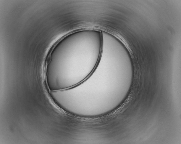 X0000111161128200907281147