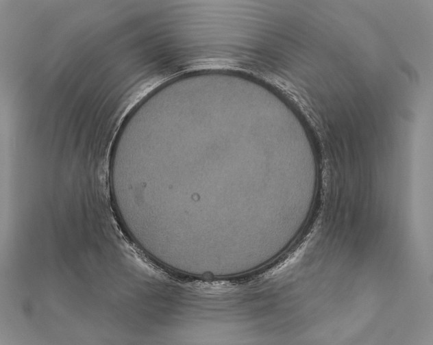 X0000111161129200907281147