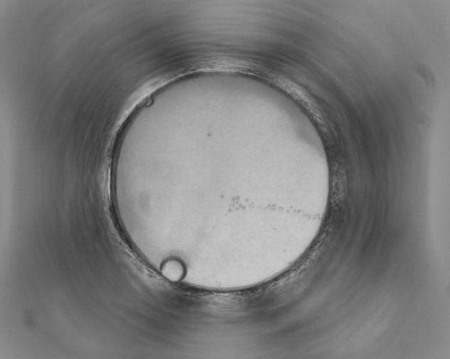 X0000111161130200907281147