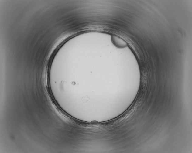 X0000111161131200907281147