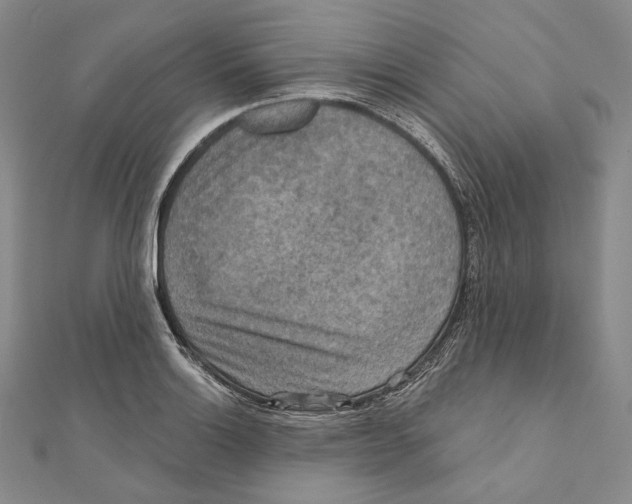 X0000111161132200907281147