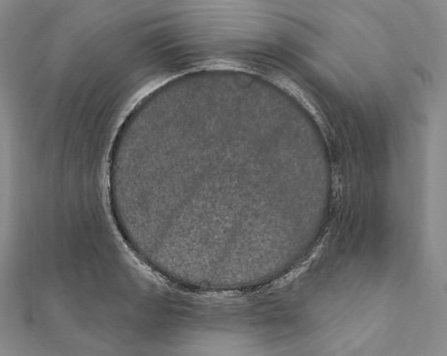 X0000111161133200907281147