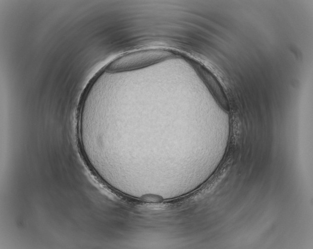 X0000111161134200907281147