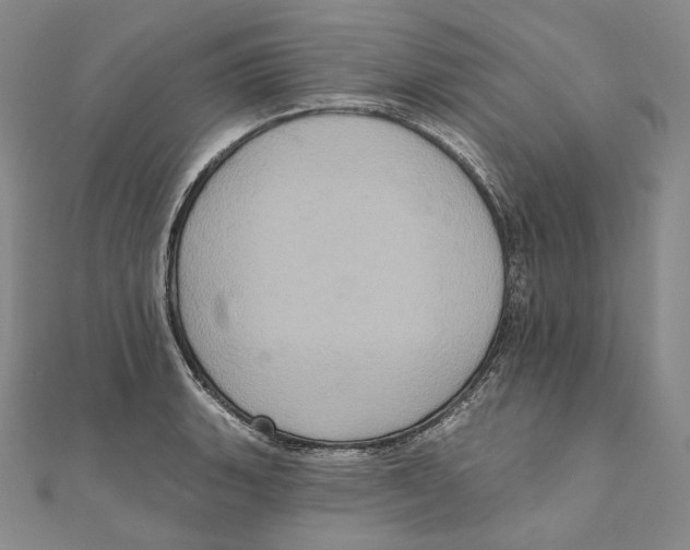 X0000111161135200907281147