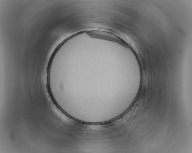 X0000111161136200907281147