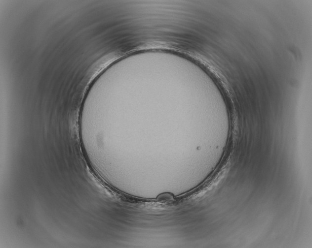 X0000111161137200907281147