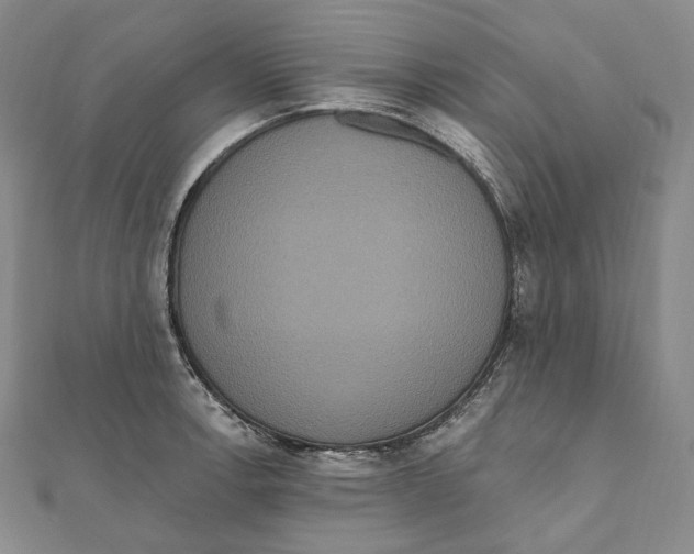 X0000111161138200907281147