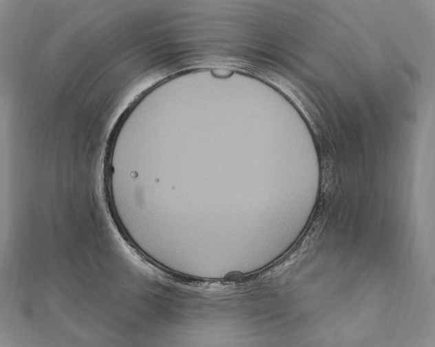 X0000111161139200907281147