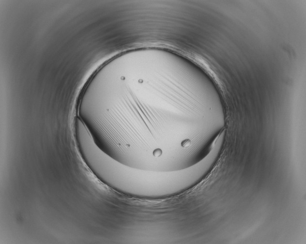 X0000111161140200907281147