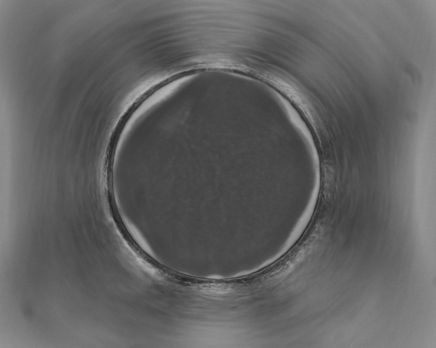 X0000111161141200907281147