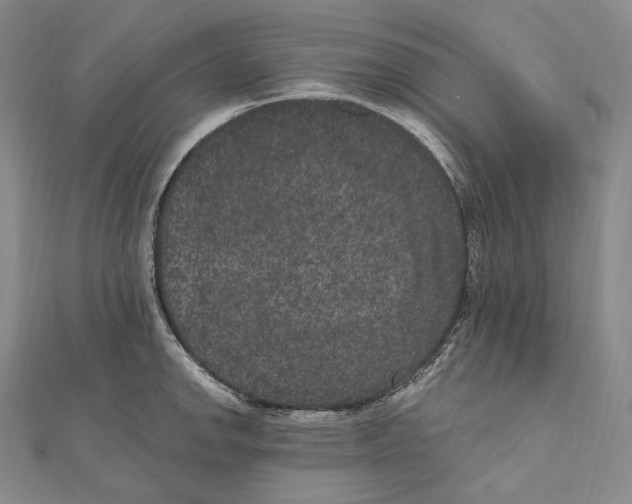 X0000111161142200907281147