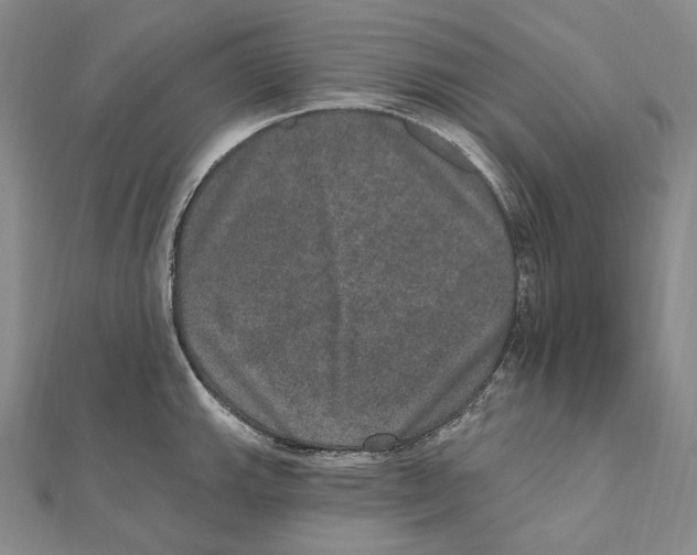 X0000111161143200907281147