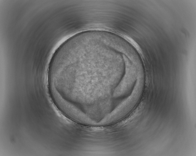 X0000111161144200907281147