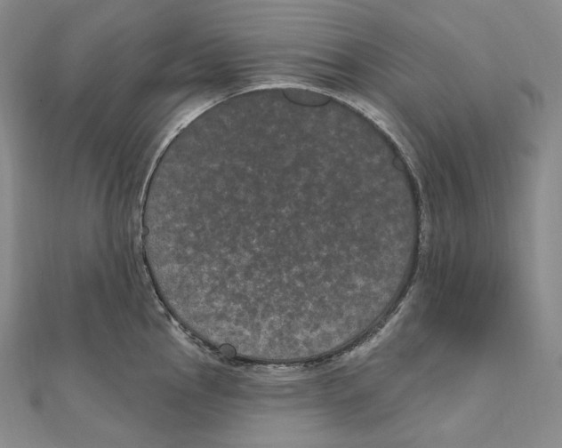 X0000111161145200907281147