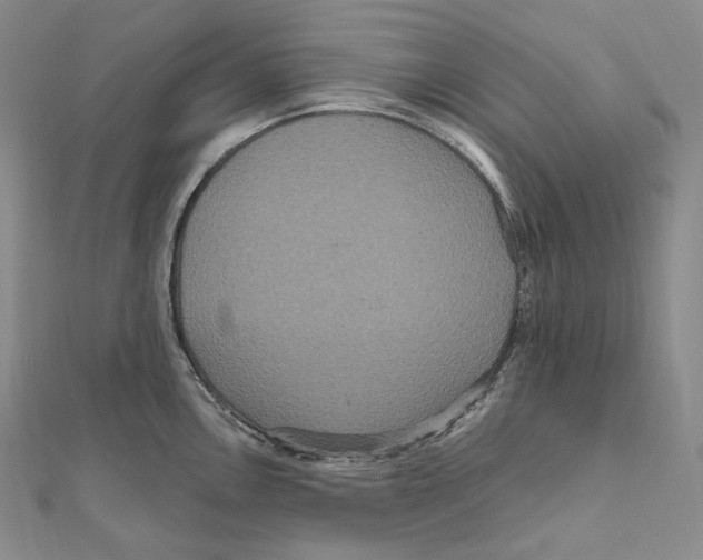 X0000111161146200907281147