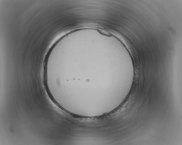 X0000111161147200907281147