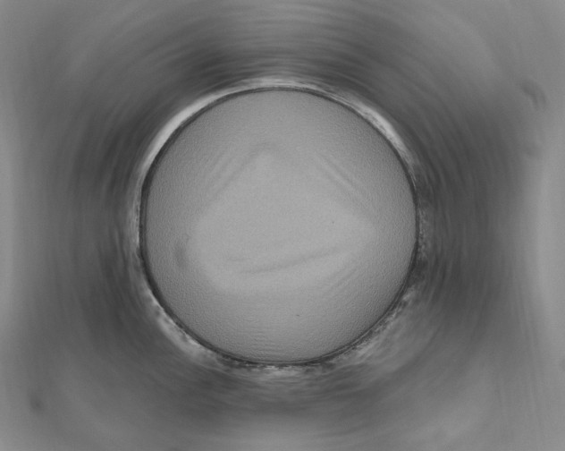 X0000111161148200907281147