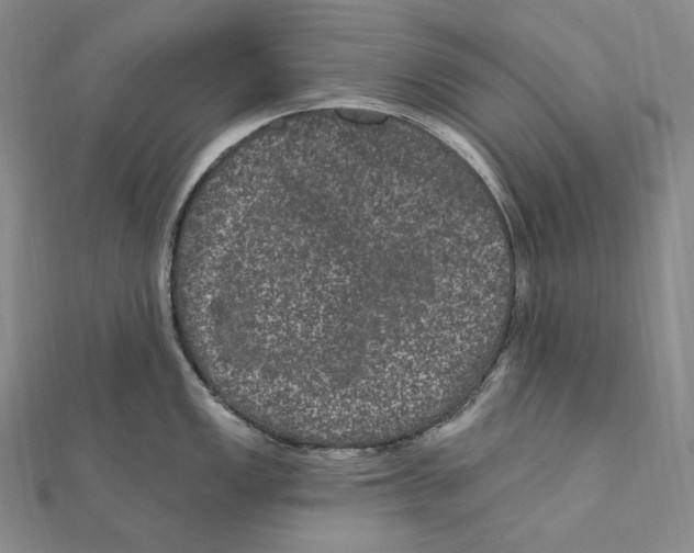 X0000111161149200907281147