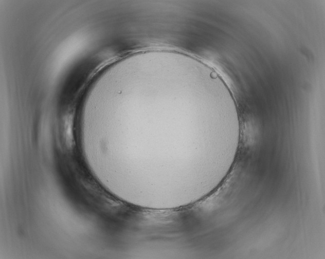 X0000111161150200907281148