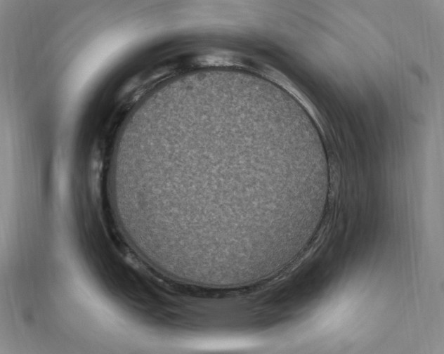 X0000111161151200907281148