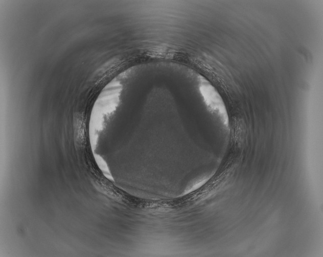 X0000111161154200907281147