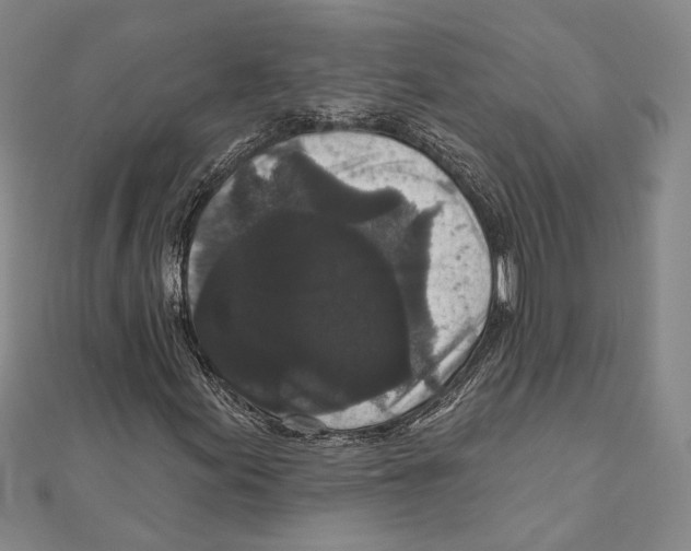 X0000111161155200907281147