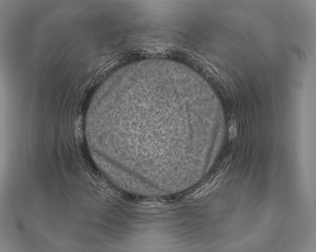 X0000111161156200907281147