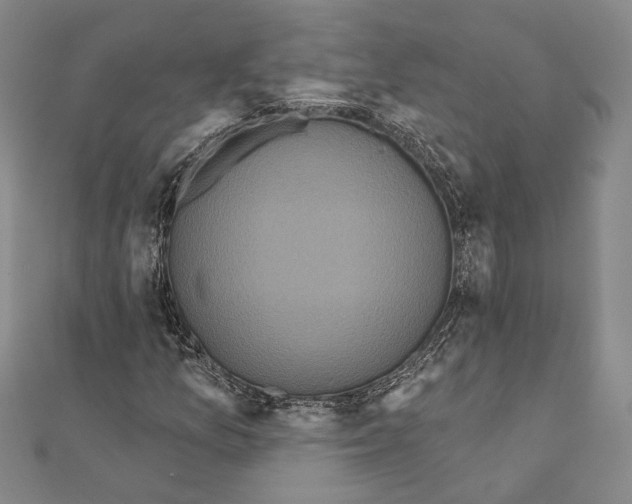 X0000111161157200907281147